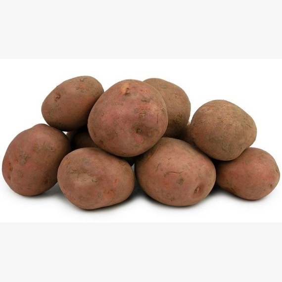 Aardappelen Bildtstar 5kg