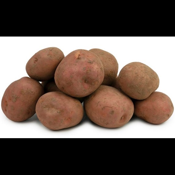 Aardappelen Bildtstar 5kg