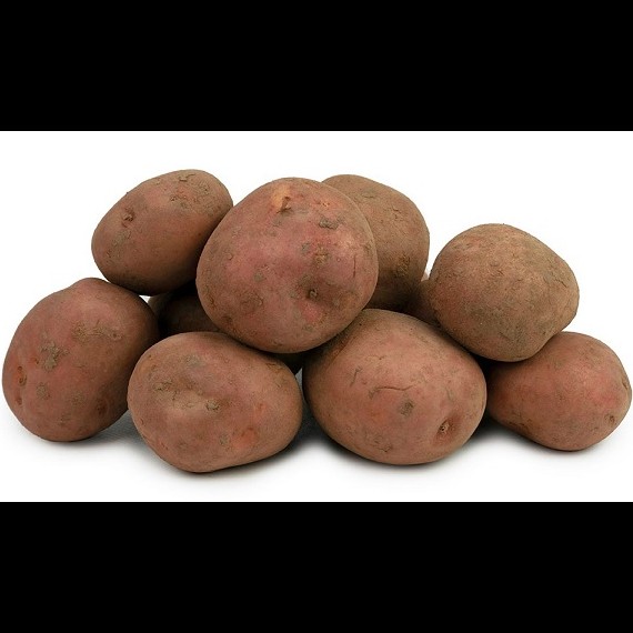 Aardappelen Bildtstar 5kg